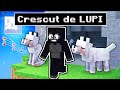 Crescut de lupi in minecraft salvez orasul de orice 