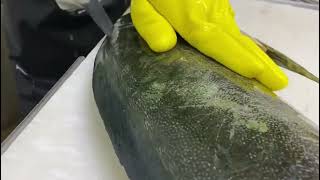 Premium Mahi Mahi Coryphaena Hippurus From Lihini Sea Foods