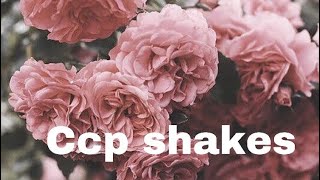 3 Ccp shakes | delightful ✨