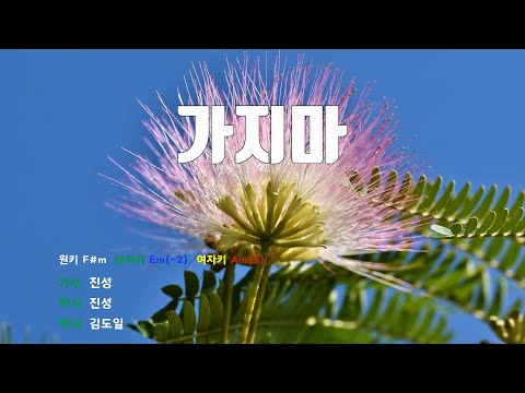 [은성반주기] 가지마 - 진성 /MR/가사