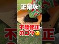 芝生の正確な不陸修正のコツ