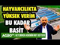 AZERBEYCAN'DA TARIM VE HAYVANCILIK | VETERİNER HEKİMİN NOT DEFTERİ