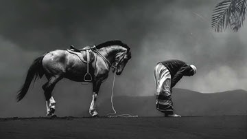 تلاوة ابداعية للقارئ الشيخ محمدالوكيل من ليالي رمضان _ما تيسر من سورة الحج#قرآن#quran