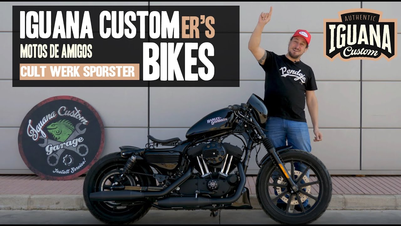 chupar Salida Mercado Harley Davidson Sportster modificada con piezas Cult Werk - IGUANA CUSTOM  Bikes 2021 - YouTube