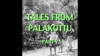 Talks on Sri Ramana Maharshi: Narrated by David Godman - Tales From Palakottu (Part V)