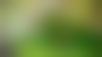 Automated Cannabis Grow Log #1 | Platinum Gorilla in Coco | Week 2 Flower