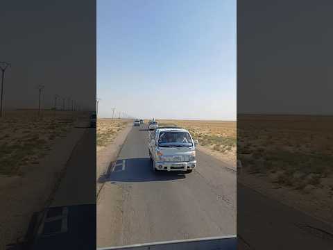شايف خير ومستاهلها