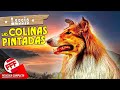 LASSIE - LAS COLINAS PINTADAS | Película Completa de PERROS en Español