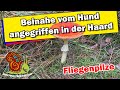 Rennschnecken Haard. Hund bedrohte uns! 17.10.2025