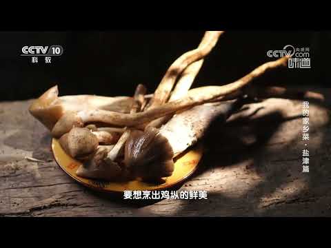 当地人烹制三塔菌为何要用南瓜叶来清洗《味道》20231209 | 美食中国 Tasty China