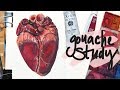 Sketchbook Gouache Heart Study - painting & sketching process