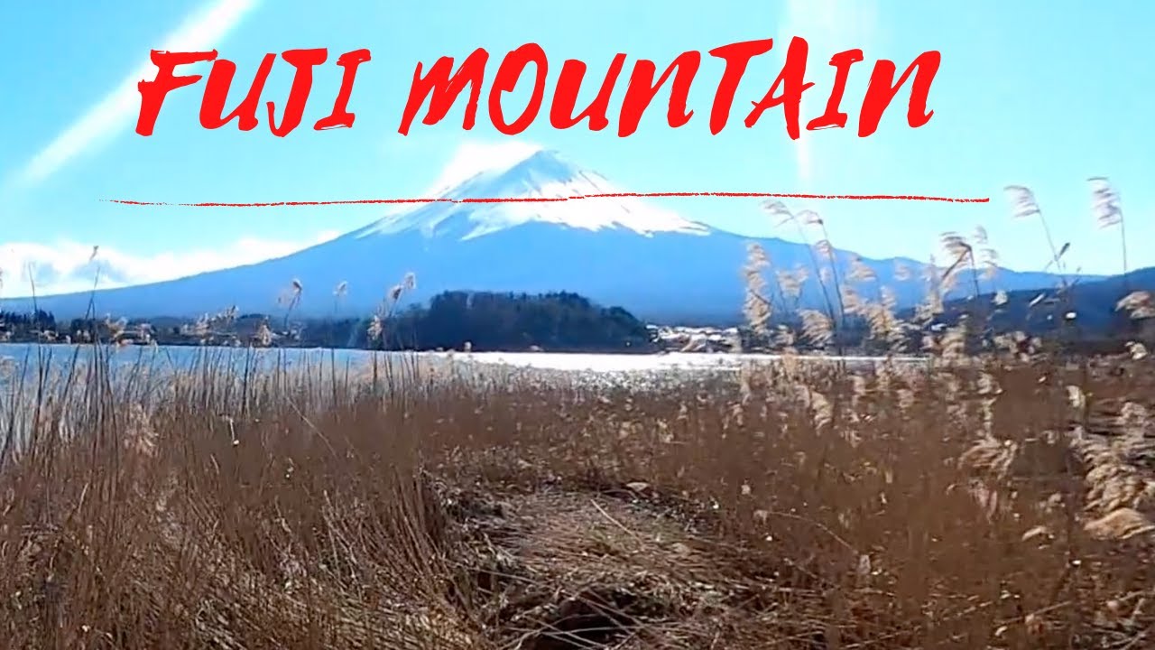 TRAVEL VLOG : Pertama Kali liat Gunung Fuji Pagi Pagi | Dari Danau