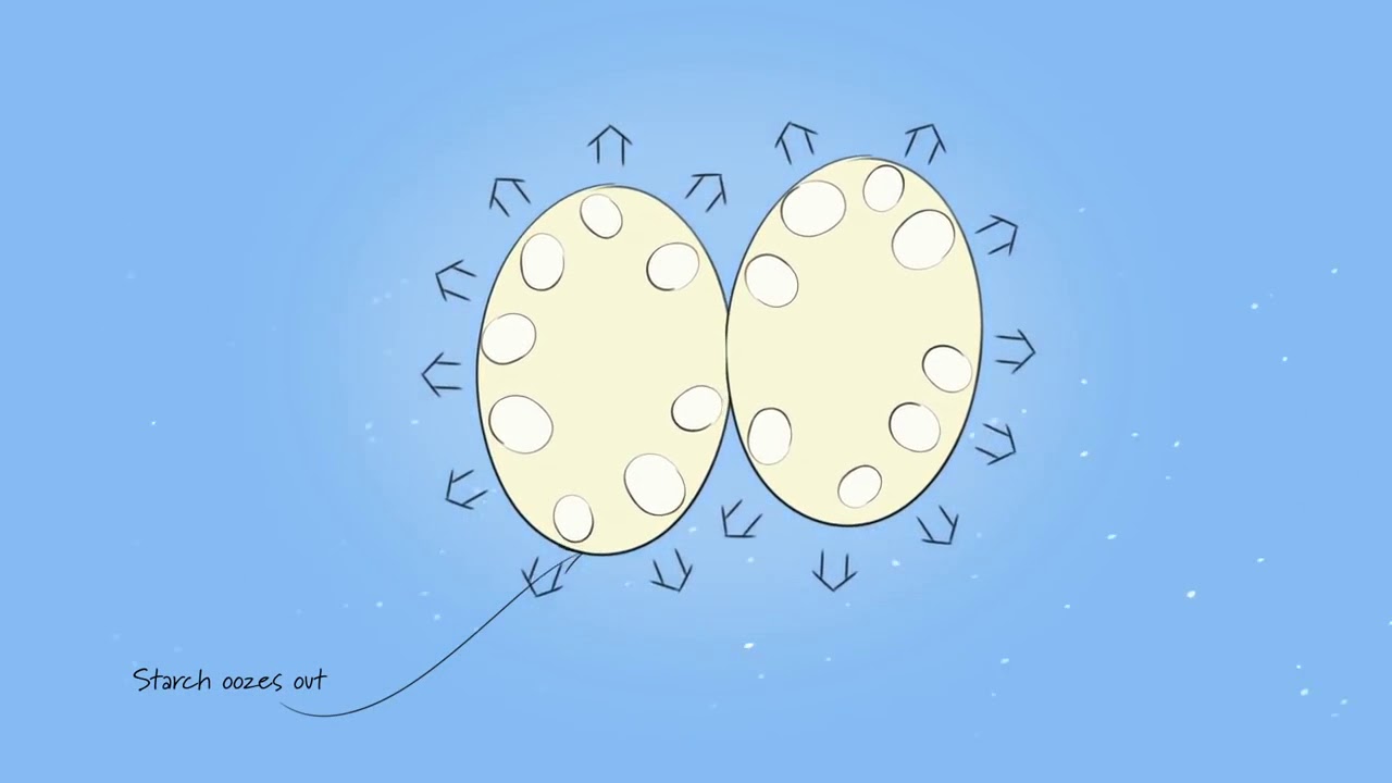 Heston Blumenthal demonstrates the Sage Multi Cooker   Stir free risotto