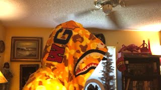Bape Shark Hoodie Review, Is It Worth The Price