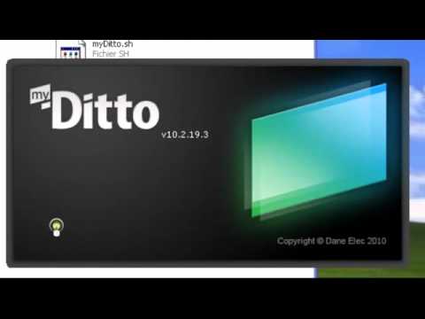 ditto app windows