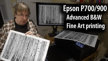 Epson P700 (& P900) advanced black and white fine art printing using ABW & free Epson EPL software