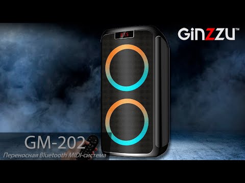 Video: Dinamiklər Ginzzu: Portativ GM-207 Və Bluetooth Ilə Qara Dinamik-akustika GM-406, Digər Simsiz Modellər