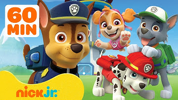 60 MINUTES of PAW Patrol