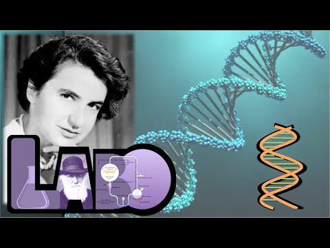 Vidéo: Qu'est-ce que Linus Pauling a découvert sur l'ADN ?
