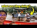 Setiu Wetlands River Cruise & Boardwalk: Terengganu's Hidden Gem - MALAYSIA TRAVEL VLOG & GUIDE