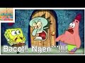50+ Download Video Meme Spongebob Bacot