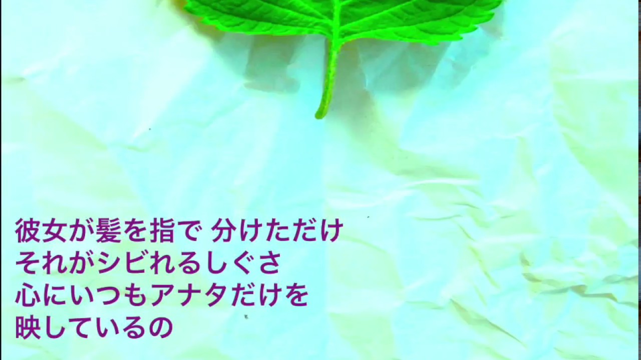 Day21 曲名に人の名前が入っている好きな曲 かわうそ Note