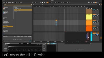 Monkey© - Rewind - Capture Your DAW