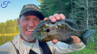 Fishing for Huge Bluegill (new PB) Deep in the Northwoods