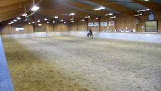 Bild 051