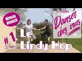 Danser chez vous le lindy hop niveau avanc n 1 