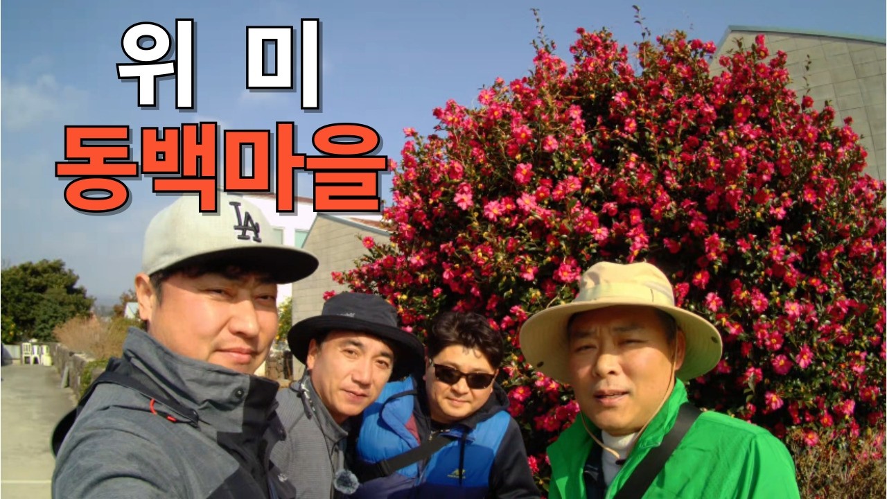 위미 동백마을 걷다.. 제주 겨울 가장 따듯한 위미,  하효 ~ 공천포 ~ 위미 ~ 남원까지 #제주여행 #올레길 #동백꽃 #제주맛집 #제주도민맛집 #제주가볼만한곳 #유달식당