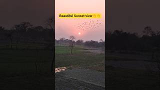 Beautiful Sunset view #sunset #n #nature #naturelovers #rajplanatvibe s
