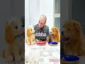 funny video #pet #funny #dog #foryou #asmr #shorts