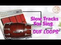 Slow tracks for sing duf loops            