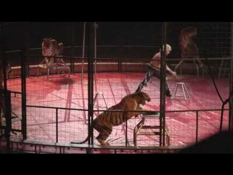 Shrine Circus tiger tamer part b