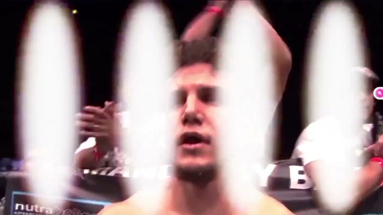 Brock Lesnar vs Frank Mir UFC 100 Full Fight Night Championship