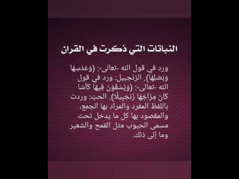 النباتات التي ذكرت في القرآن الكريم دعاء مستجاب اكسبلور