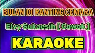 BULAN DI RANTING CEMARA [ Cowok ] { C#m } KARAOKE HQ AUDIO STEREO|| Elvy Sukaesih