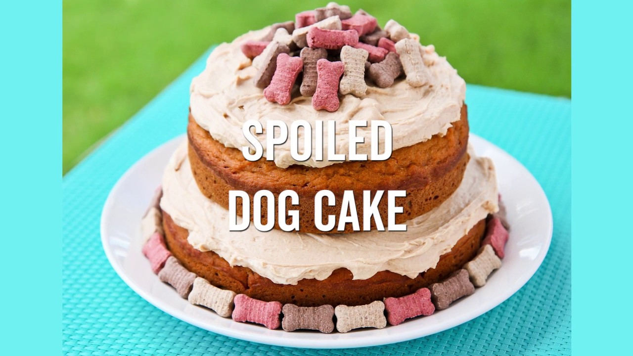 Spoiled Dog Cake - YouTube