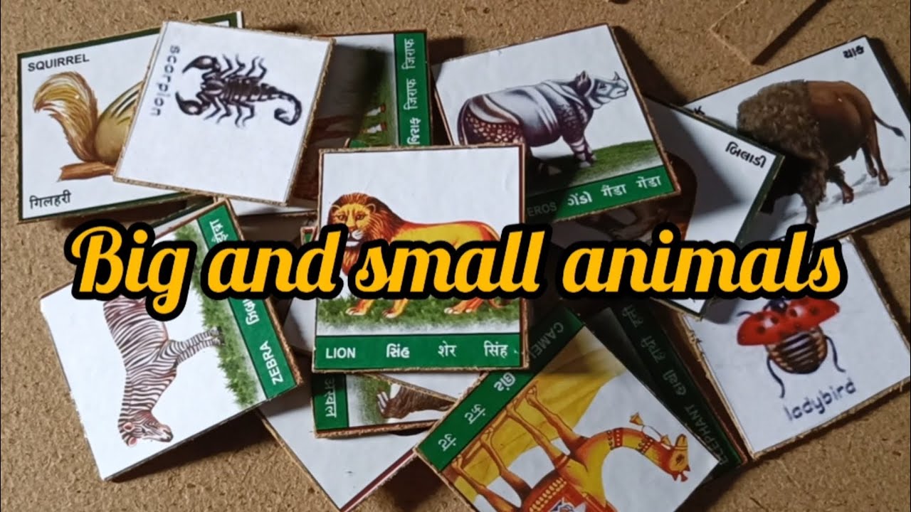 School project big and small animals 😊 cardboard se project kaise banai..        