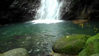 Concord Falls - Grenada