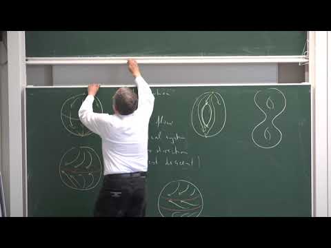Dynamical Systems Morse-Conley