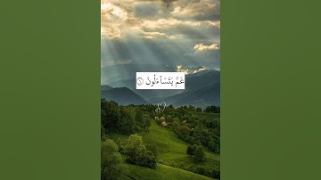 عما يتساءلون عن النبأ العظيم. ماتيسر من سورة النبأ بصوت القارئ عبد الرحمن مسعد.