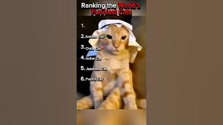 Ranking the World’s Funniest Cat #catvideos #catshorts #catmeme