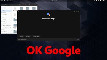 Google Assistant for PC, Linux Windows and Mac