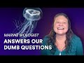 Smart People, Dumb Questions: Marine biologists fields our silly questions