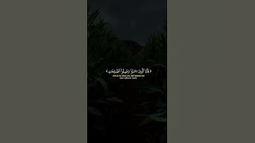 وَيَومَ تَقومُ السّاعَةُ يَومَئِذٍ يَتَفَرَّقونَ ｜ سورة الروم ｜ القارئ ياسر الدوسري