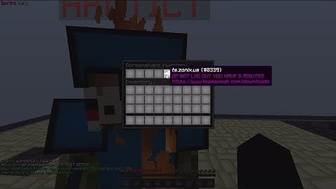 GETTING FROZEN AND SCREENSHARED ON ZONIX WHILE USING VAPE LITE (BYPASSED)