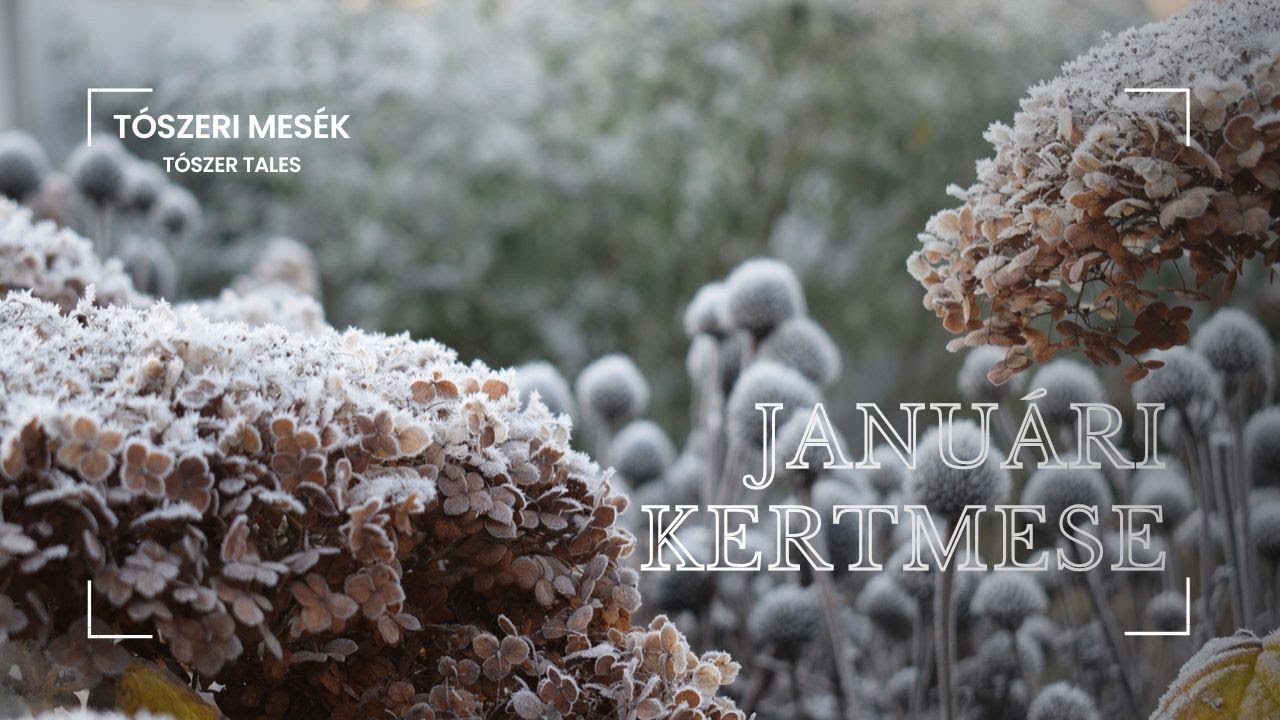 Januári Kertmese - January Garden Tale