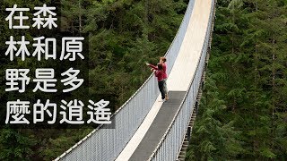 城市裡的巨樹森林 Capilano吊橋公園 | 溫哥華 | 環遊二人世界EP4